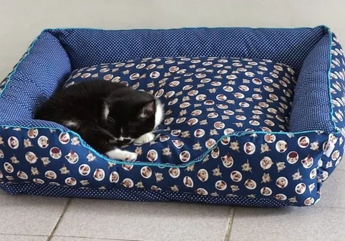 Cama Pet - A partir de R$ R$ 60,00 - Foto 6