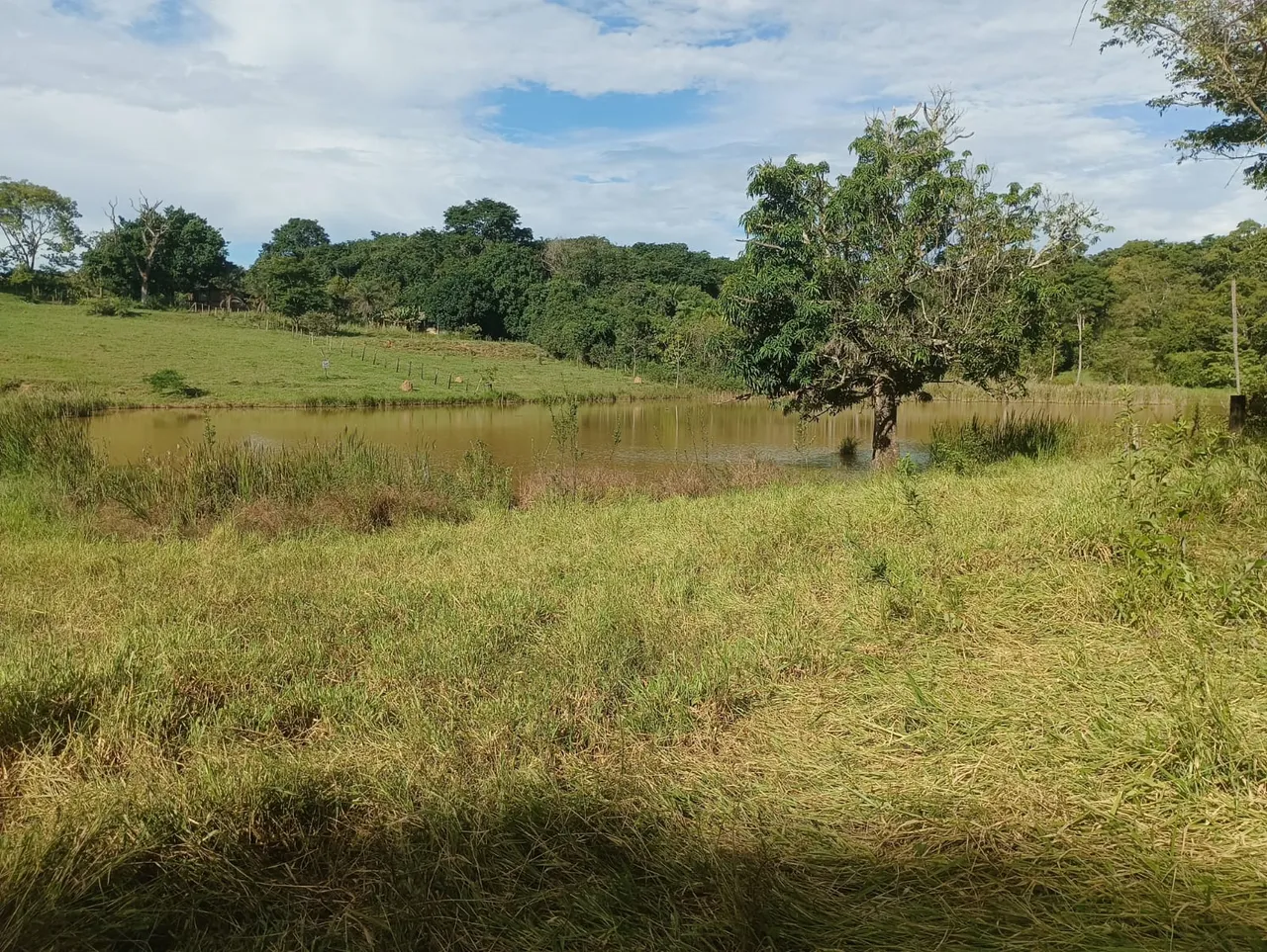 Lago Azul (Novo Gama- GO) Chácara 17,49 hectares (170.490m²) com escritura