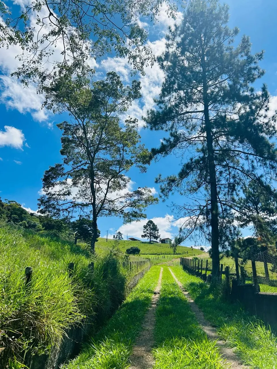 Imóvel para venda tem 500 metros quadrados em Lageadinho - Ibiúna - SP