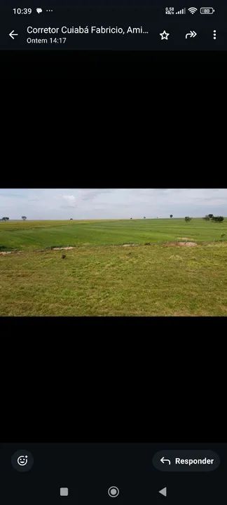 Fazenda de arrendamento 1.200 hec em Itiquira MT. Grade combinar  - Foto 4