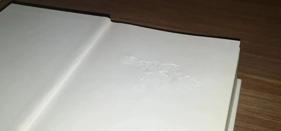 Livro "La ciudad y los perros", de Mario Vargas Llosa - Foto 3