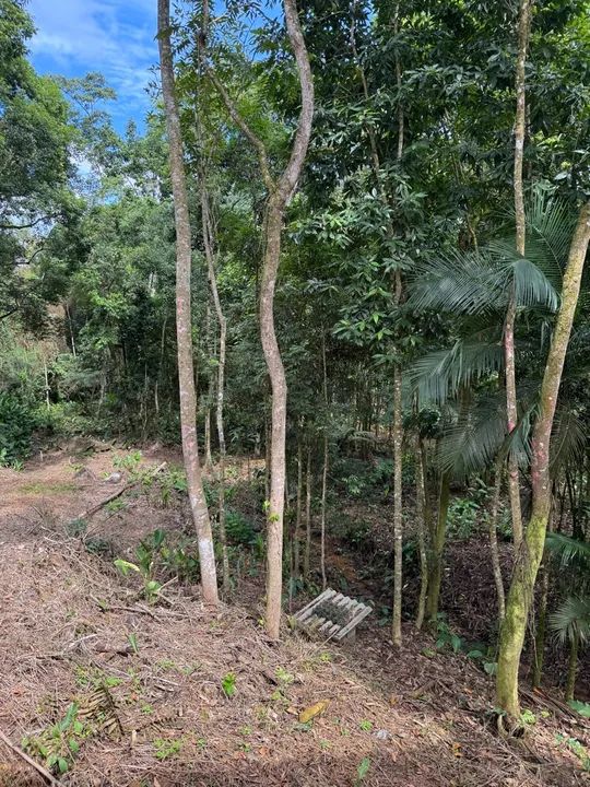 Sítio em Massaranduba com 11mil metros quadrados - Foto 7