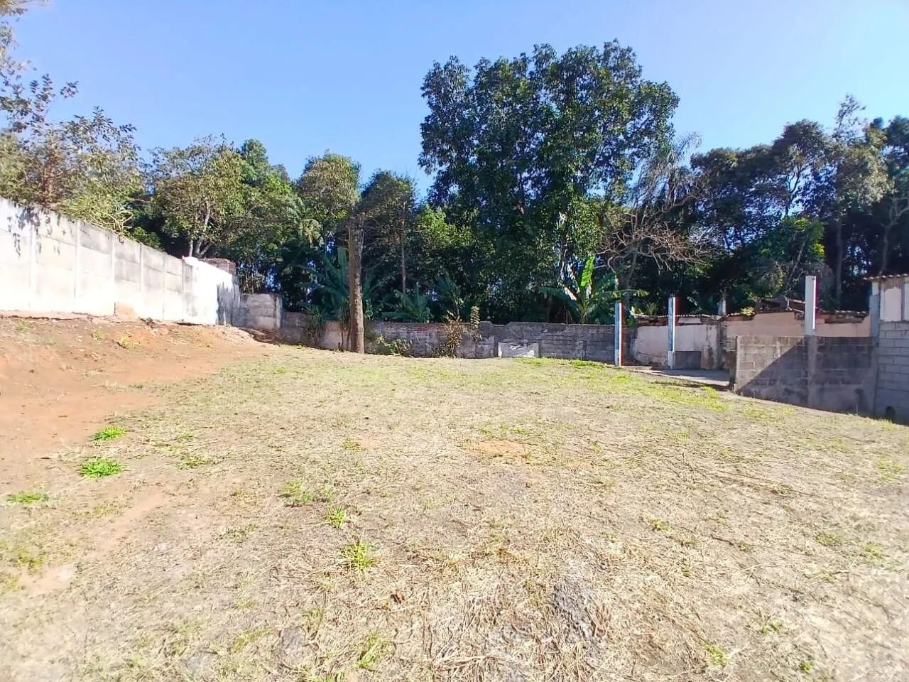 Terreno Comercial para Locação - Vila Moraes - Foto 5
