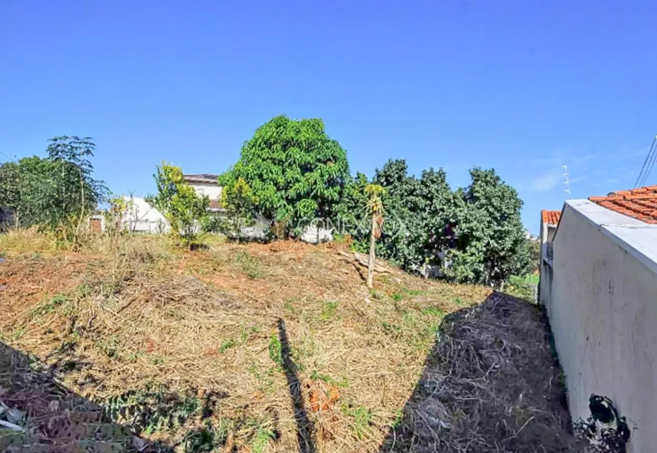 terreno - Jardim Paraíso - Campinas - Foto 5