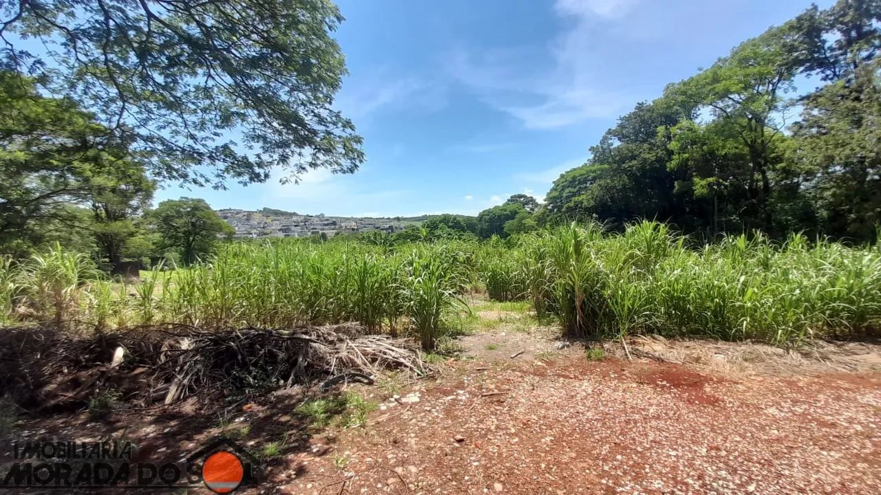 TERRENO A VENDA - R.JACOB POLSAK - Foto 5