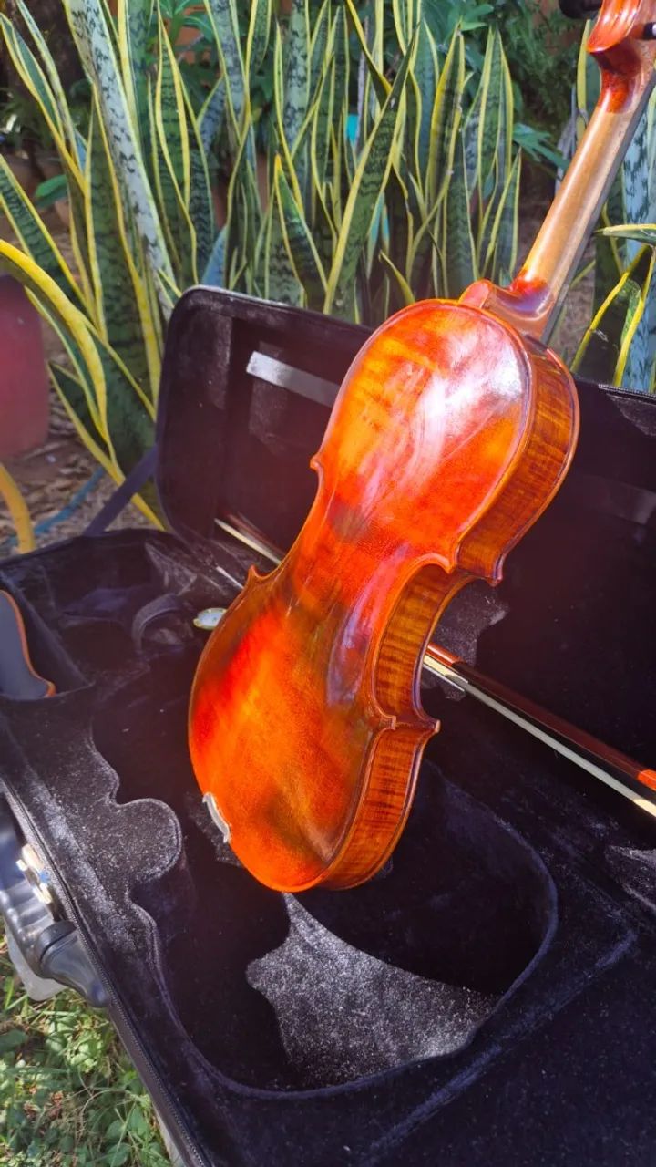Violino 4/4 Eagle VK544 Tampo Maciço - Foto 3