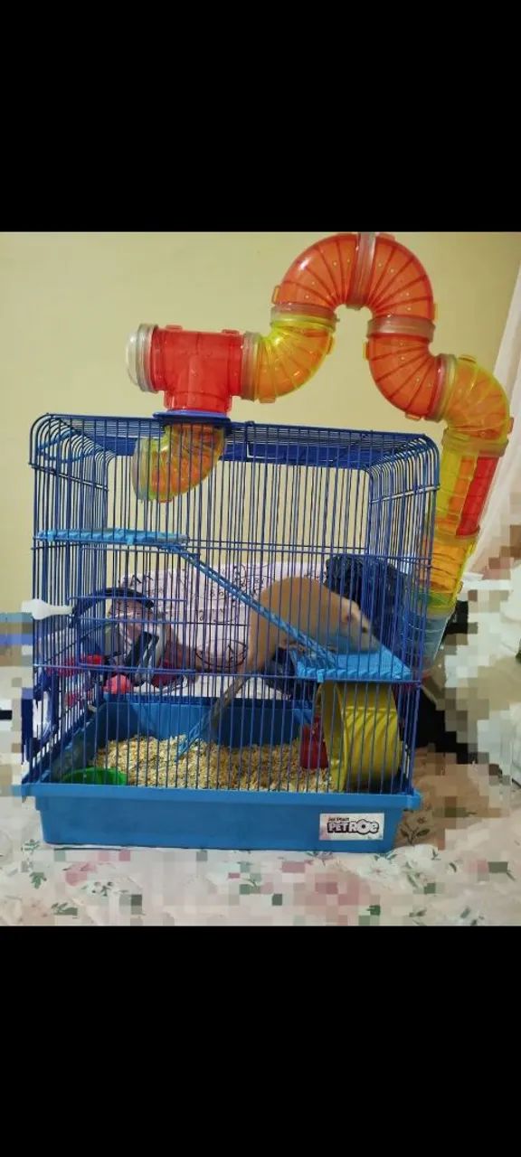 Casinha pra hamster  - Foto 2