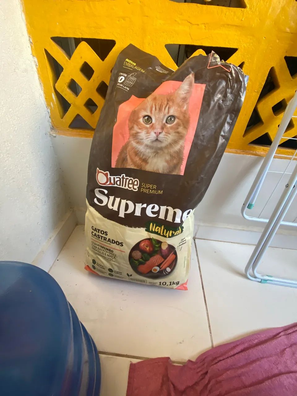 ADOÇÃO RESPONSÁVEL- 2 gatinhas castradas e vacinadas  - Foto 4