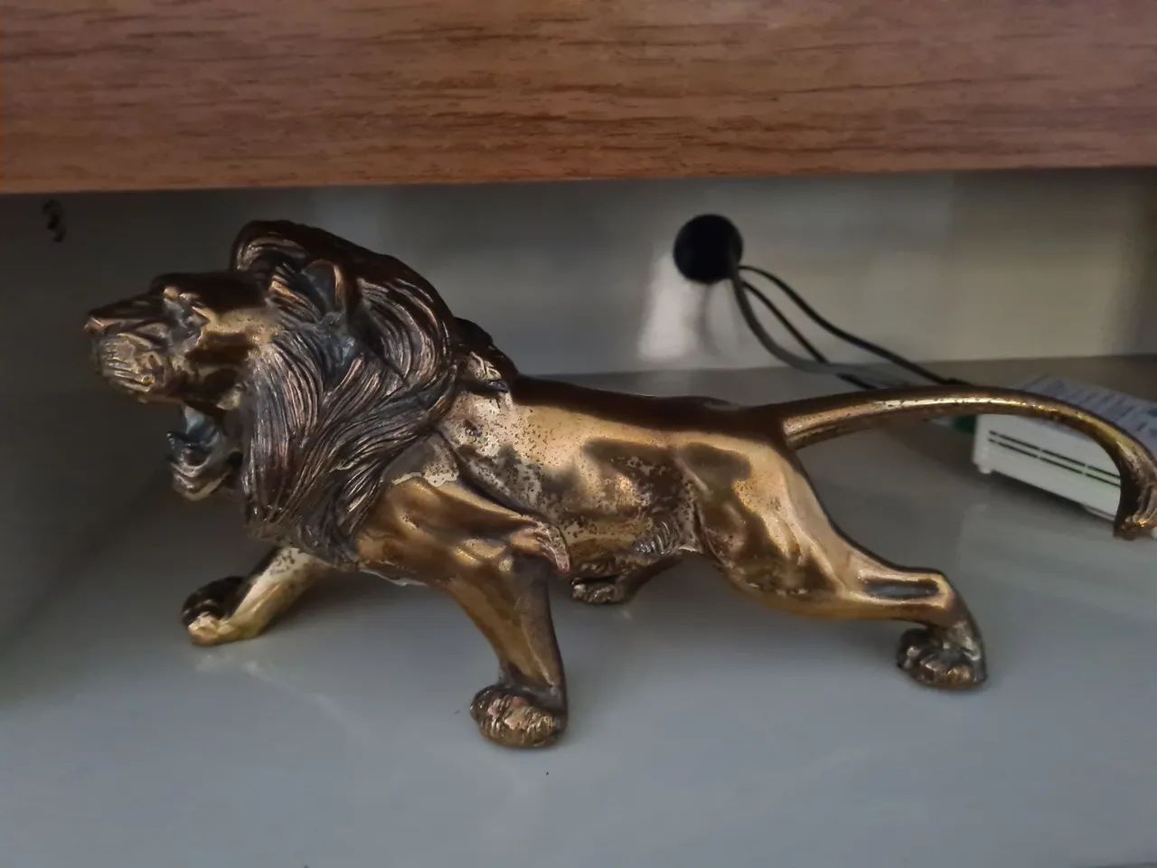 Leao de bronze