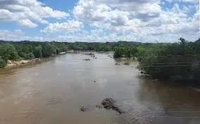 FAZENDA: Fazenda de 310 hectares a venda na beira do rio em Chapadinha-MA - Foto 9