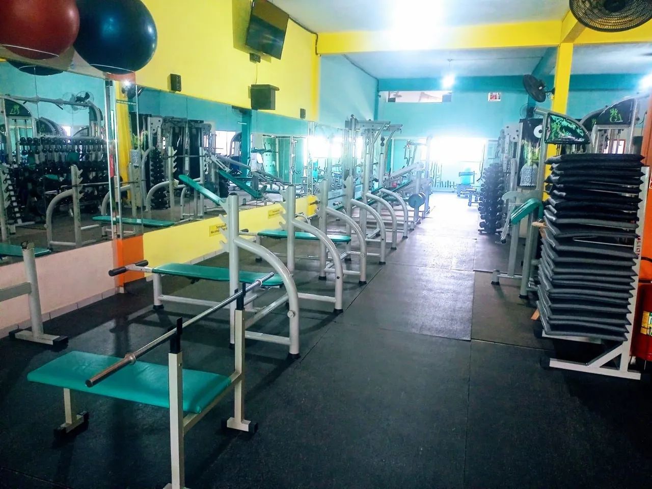 Lote academia  completo 