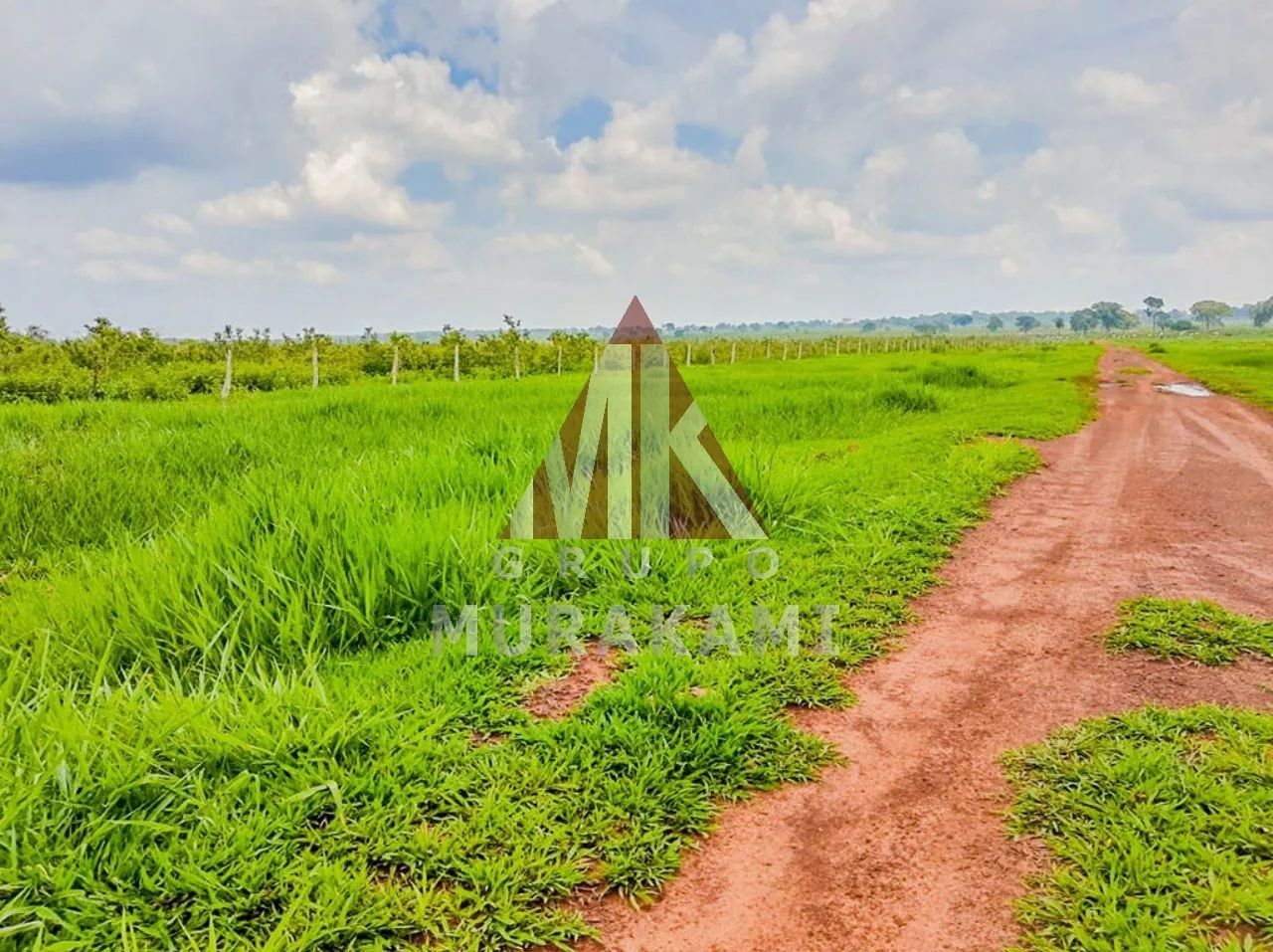 FAZENDA - ROCHEDO - MS - Foto 5