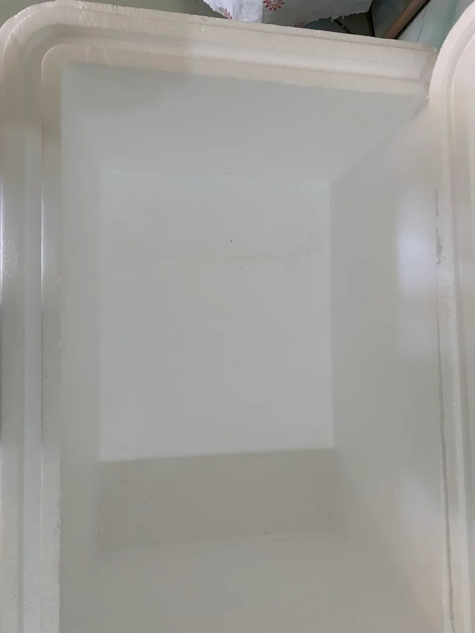 Caixa de Isopor - Foto 4