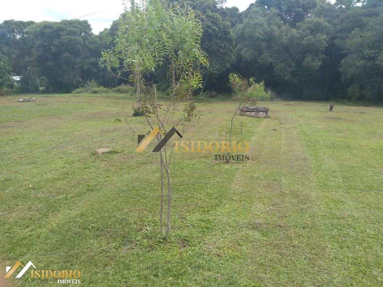 Chácara - 2 quarto(s) - Centro - Lapa - R$ 459.000,00 - Ref: VIT389 - Foto 5