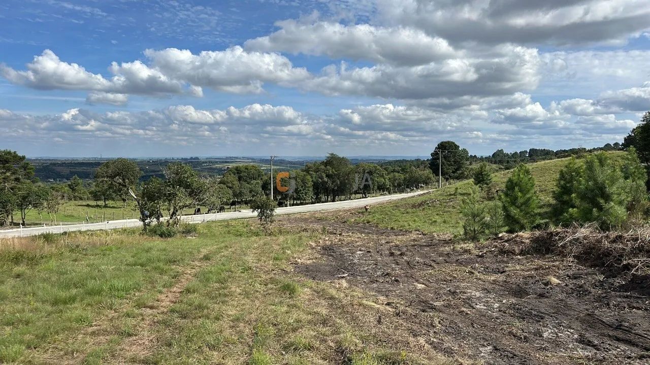 TERRENO RURAL em BALSA NOVA - PR, Balsa Nova - Foto 3