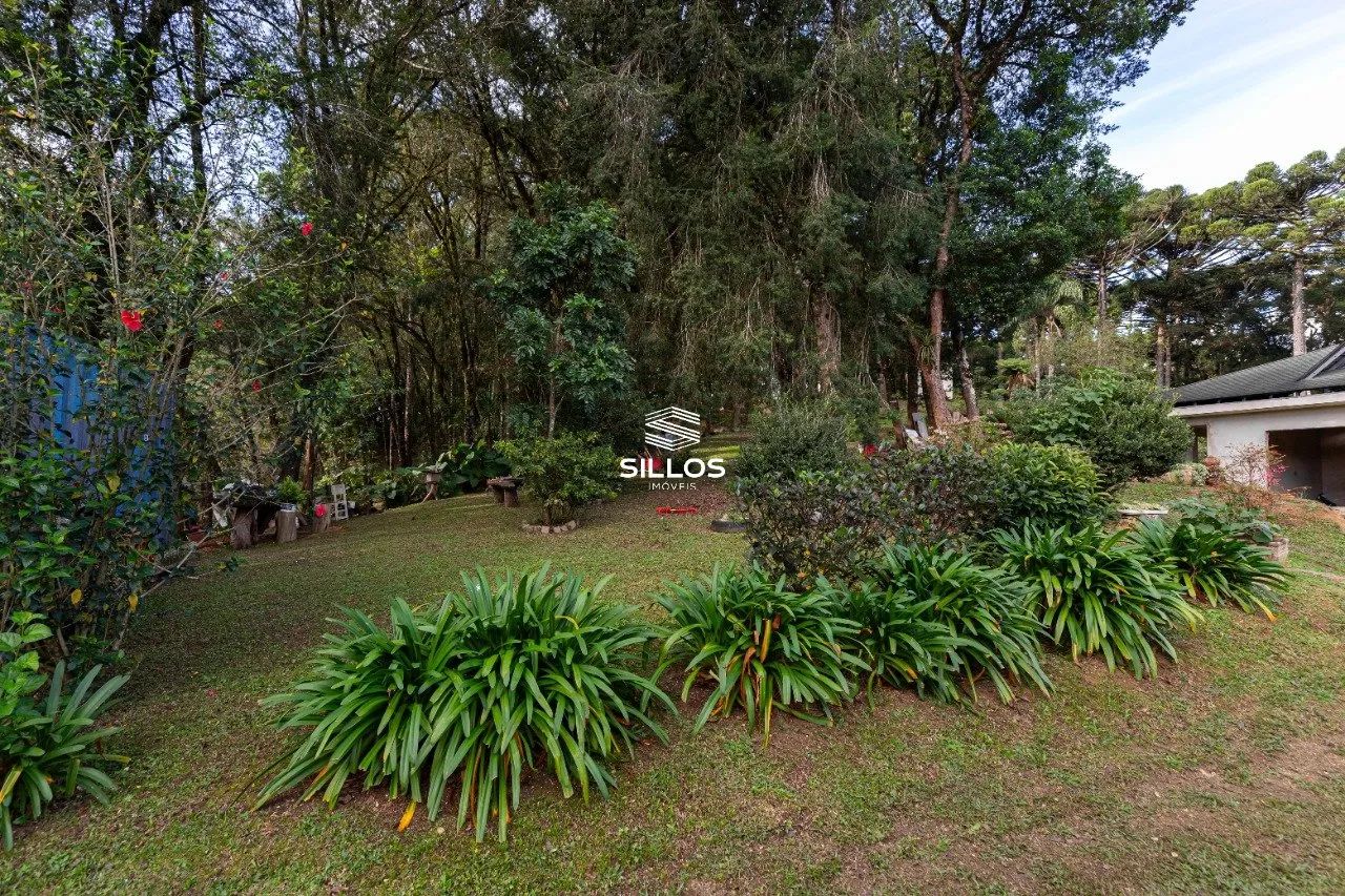 Chácara à venda com 80.000m² em Butiatuvinha em Curitiba - Foto 3