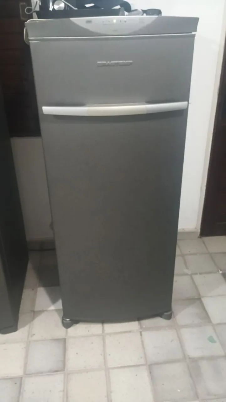 Freezer Frost Free 276L