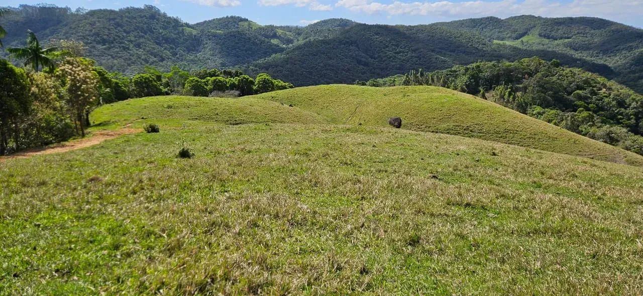 Sitios em São Pedro de Alcântara - SC - Foto 4