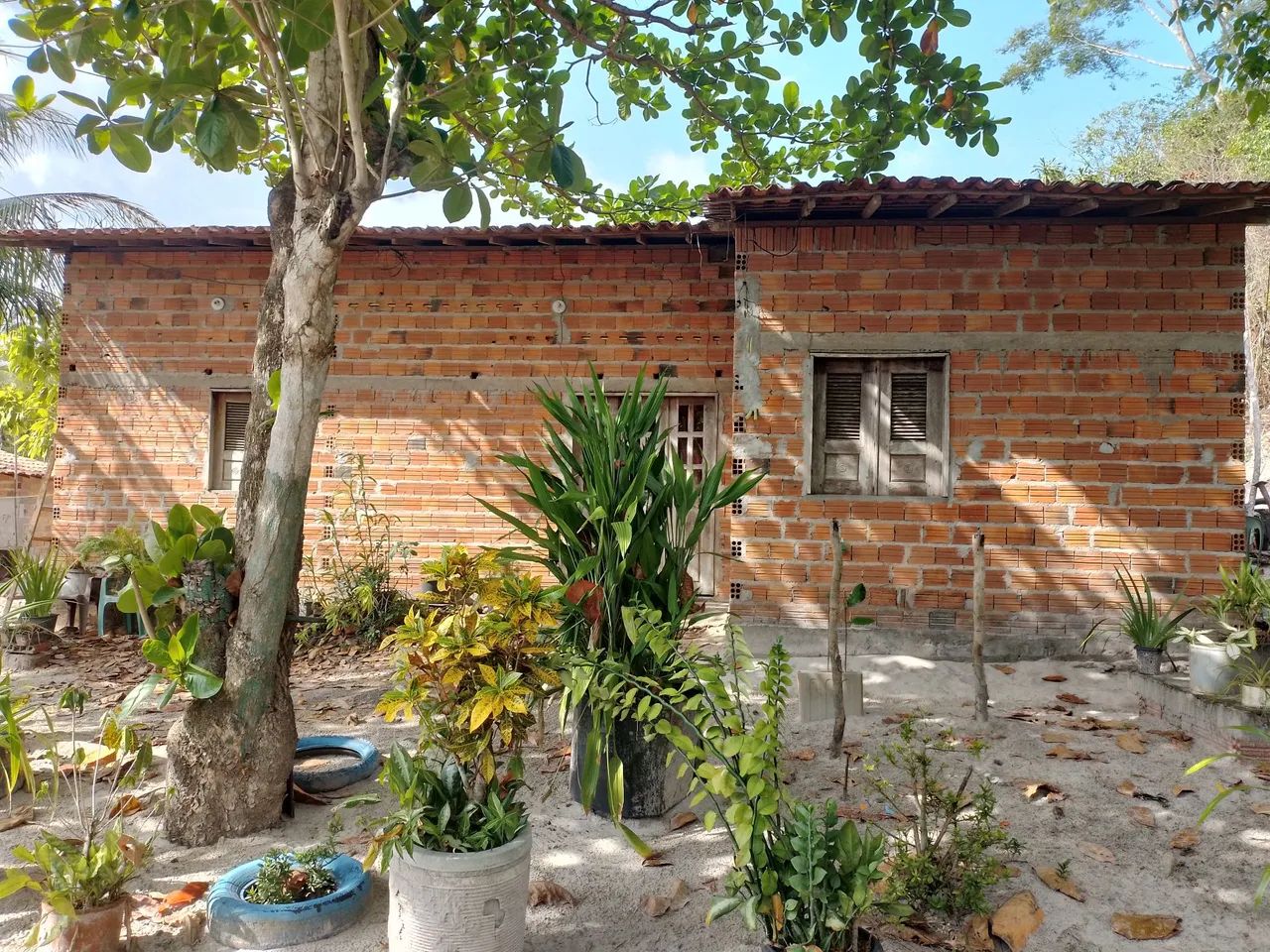 Vendo Casa - Foto 4