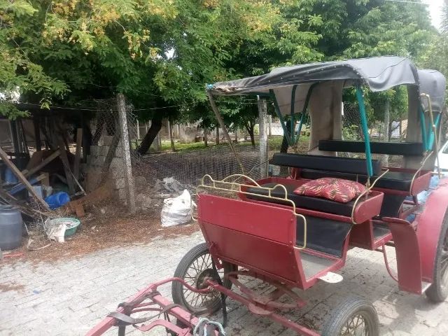 Charrete 4 rodas ou Troller / Jóquei . Atrelagem (Harness Racing)