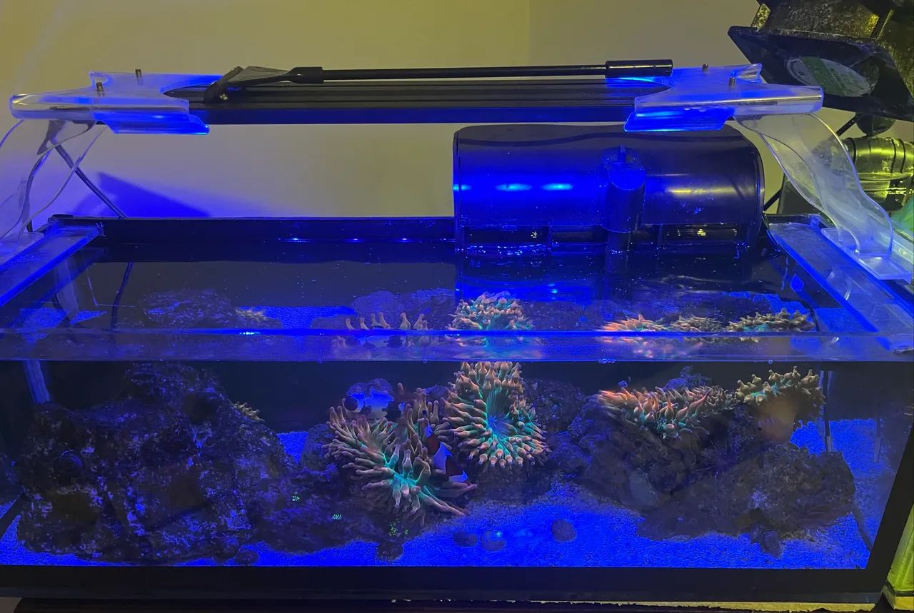 Aquario  - Foto 2