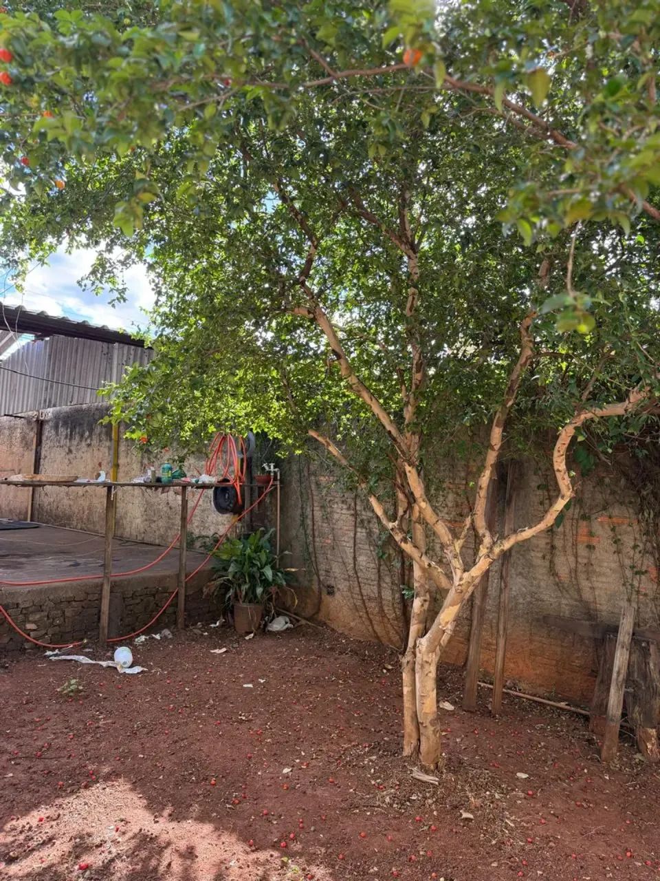 Imóvel para venda com 3 quartos em Vila Monticelli, Goiânia - GO - Foto 2
