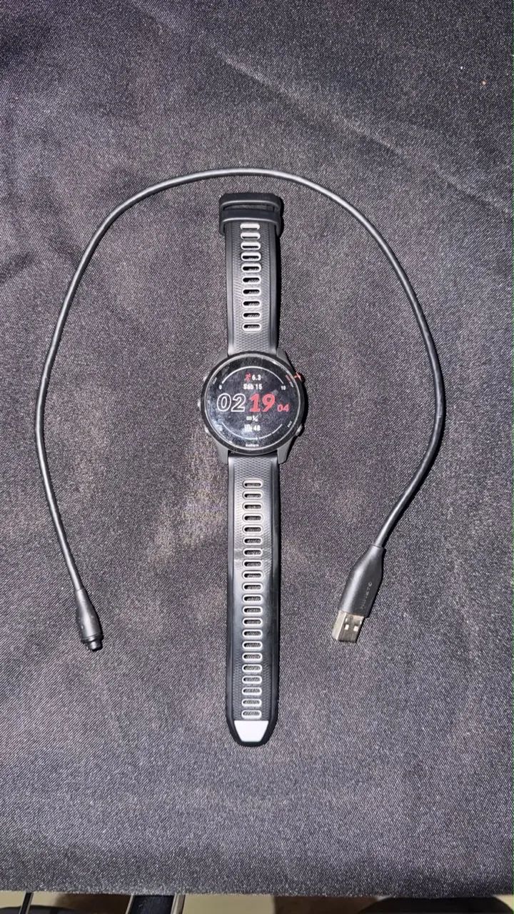 Garmin Forerunner 255