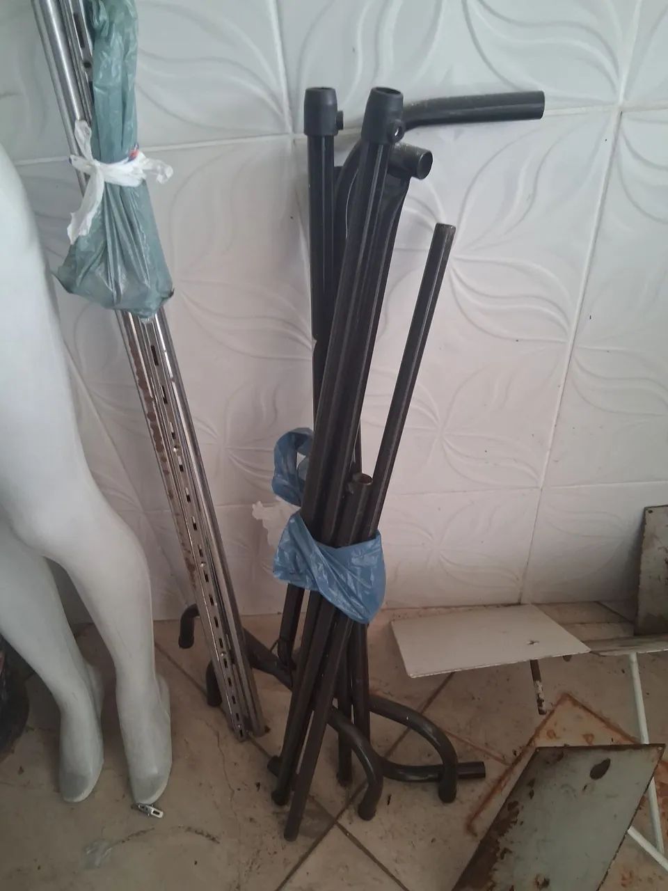 Lindas araras - Foto 4