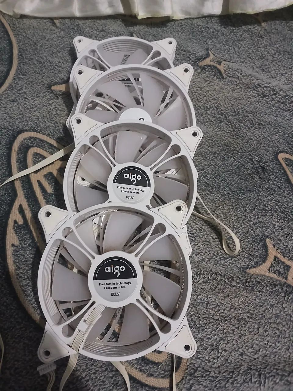 Fans RBG - Foto 2