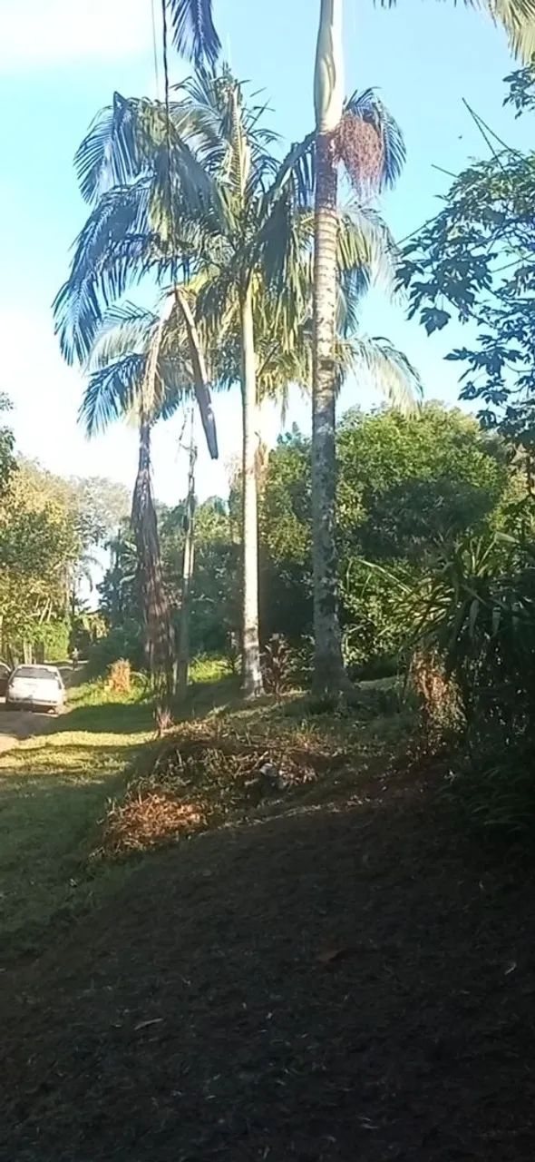 Foto - Paranaguá - Alexandra