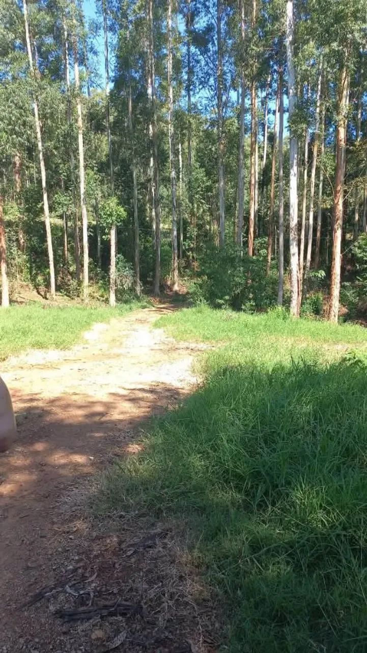 Sítio a venda - Foto 5