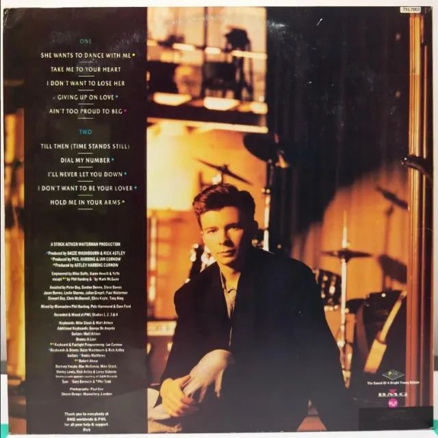 DISCO VINIL RICK ASTLEY - HOLD ME IN YOUR ARMS - Foto 2
