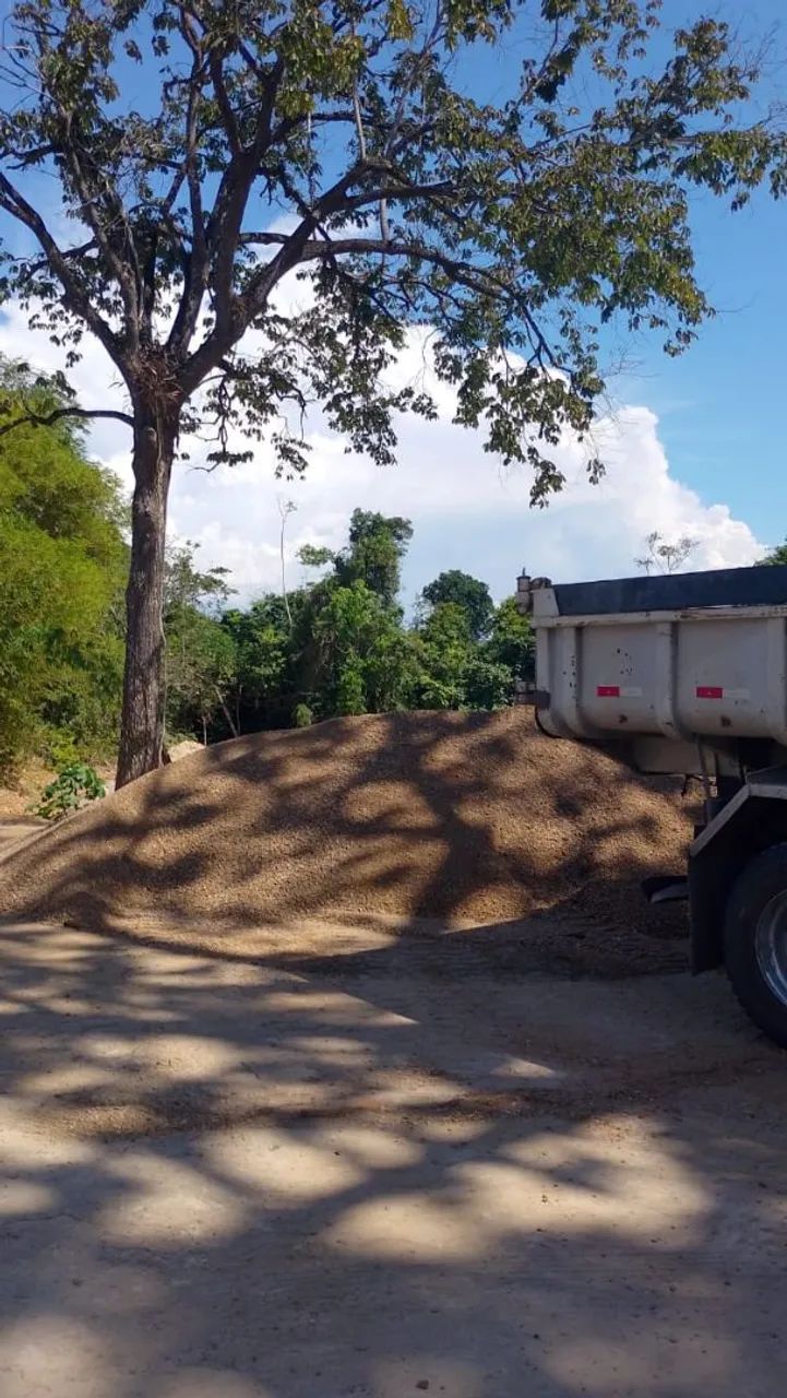 Seixo de todos os tipos 