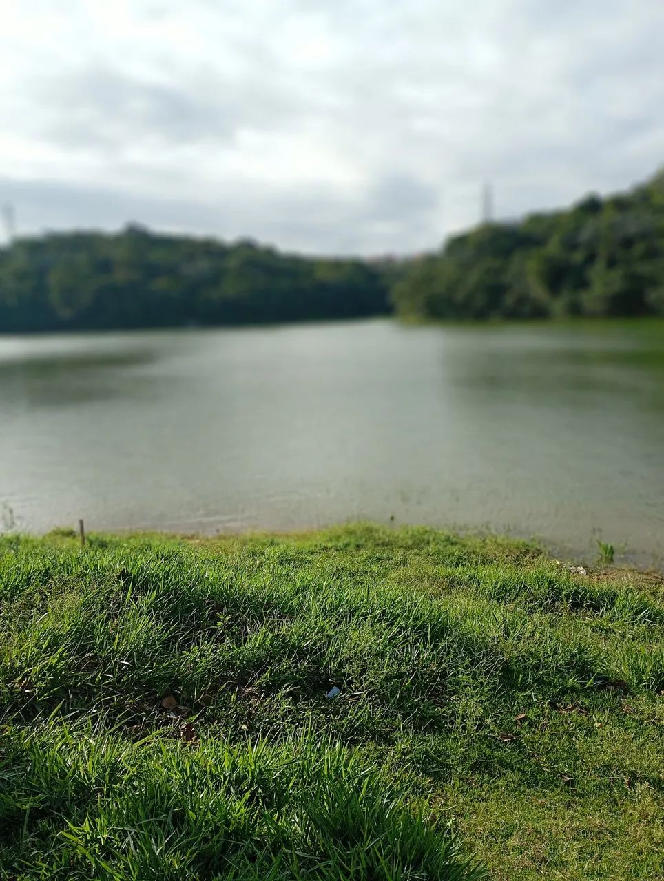 Foto - São Paulo - Jardim Varginha