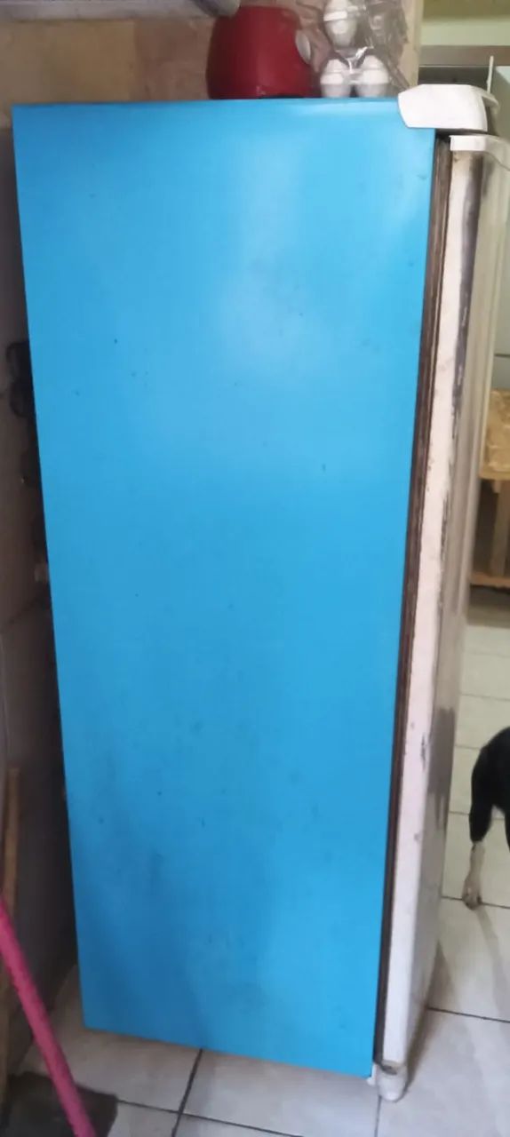geladeira consul facilite - Foto 4