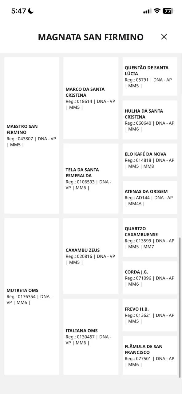 Potro MM registrado filho de campeão nacional  - Foto 6