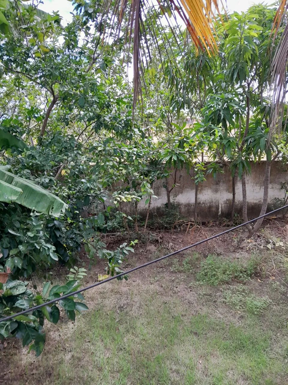 Venda de casa - Foto 4