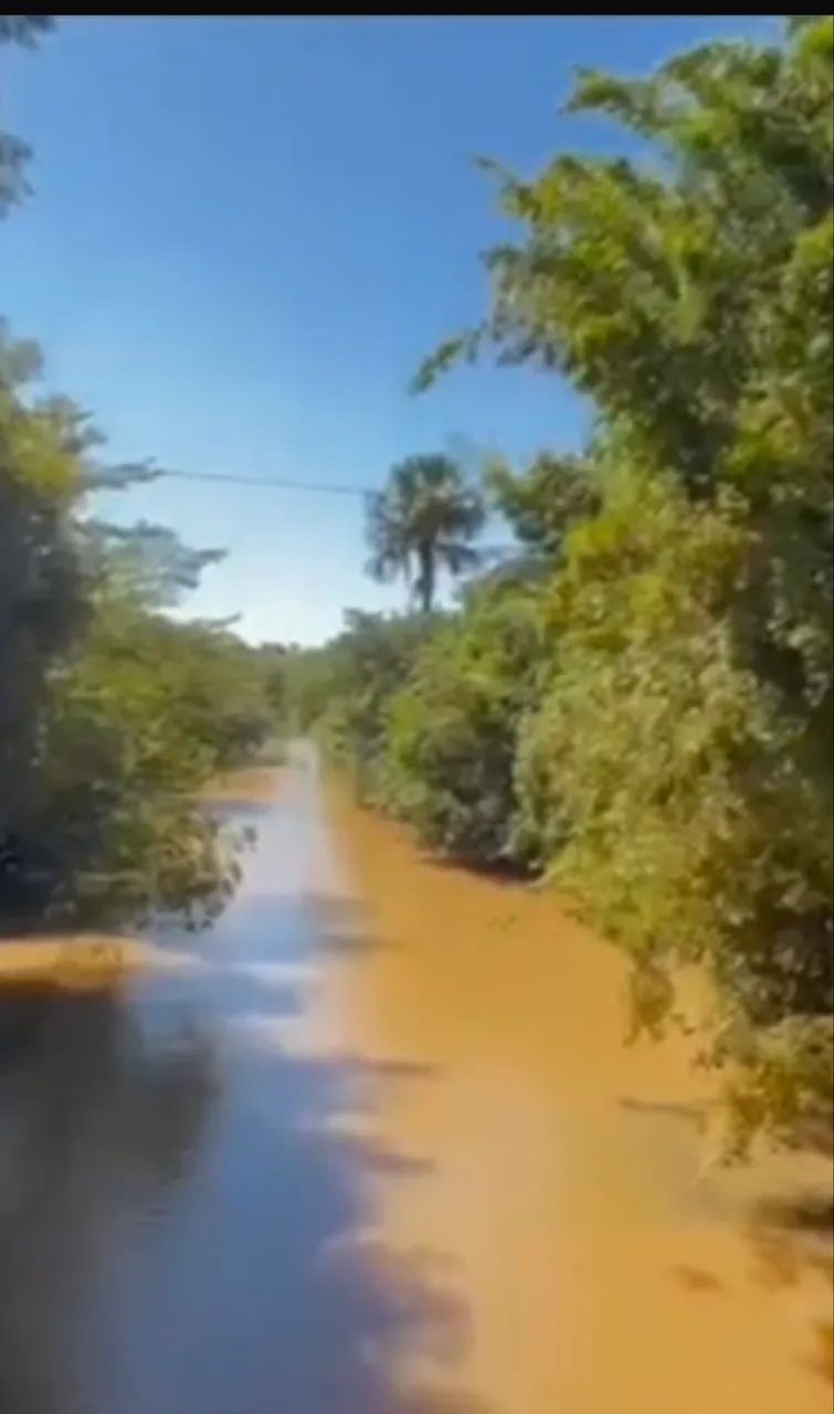Fazenda com cana próximo Ituiutaba  - Foto 4