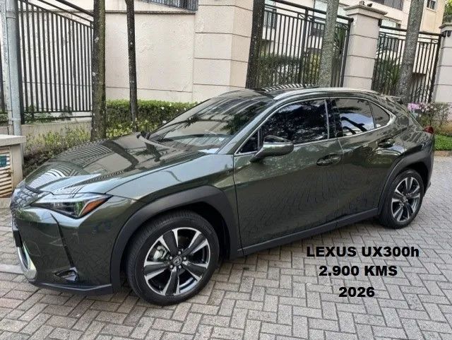 Lexus UX-300h 2.0 16V Aut. (híbrido) 2026