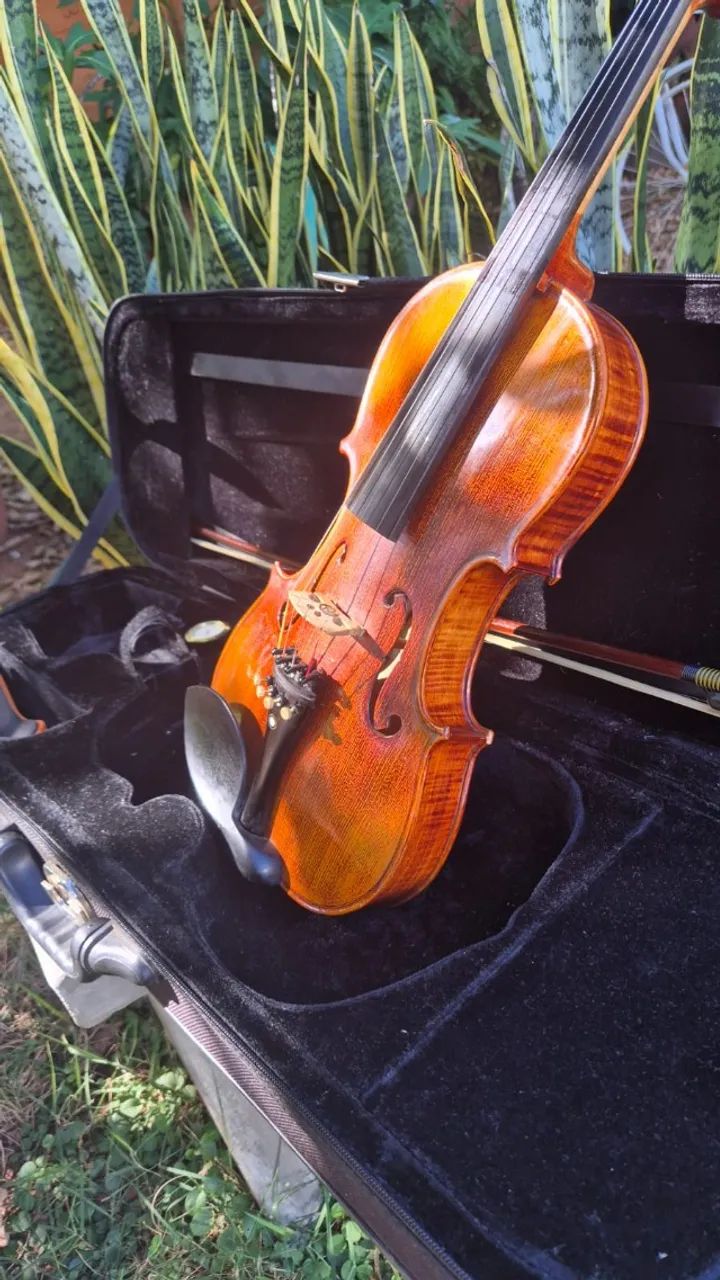 Violino 4/4 Eagle VK544 Tampo Maciço