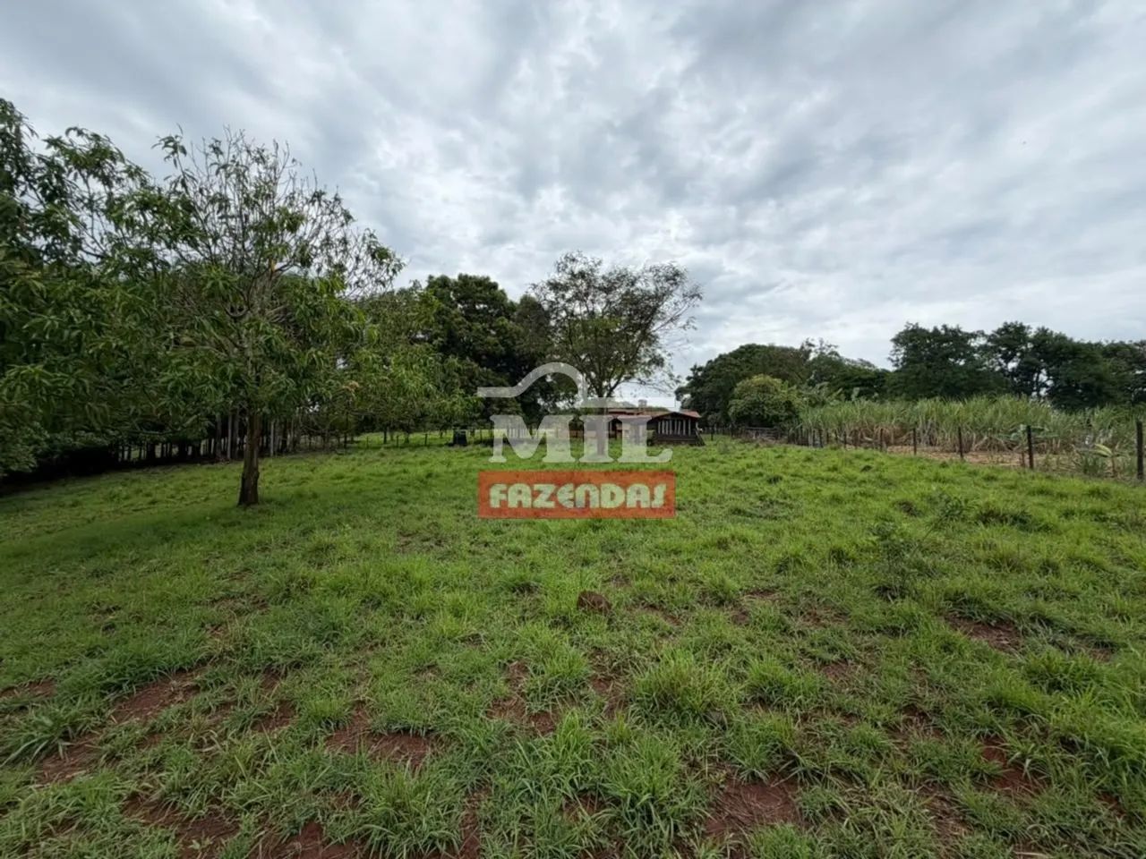 Chácara 43.000M² em Brazabrantes - GO - Foto 5