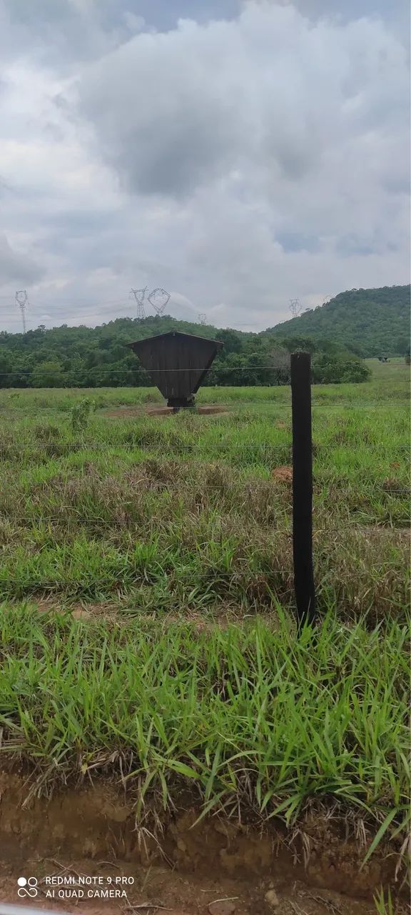FAZENDA 111 ALQUEIRES 70 DE PASTO PERTO DE PARAÍSO - Foto 5