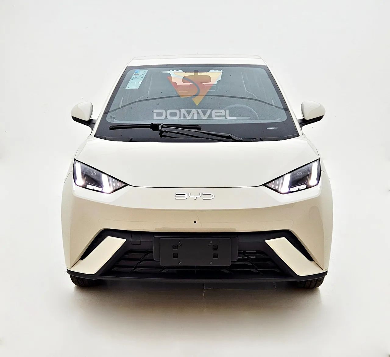 BYD Dolphin Mini (Elétrico) 2027 - Foto 2