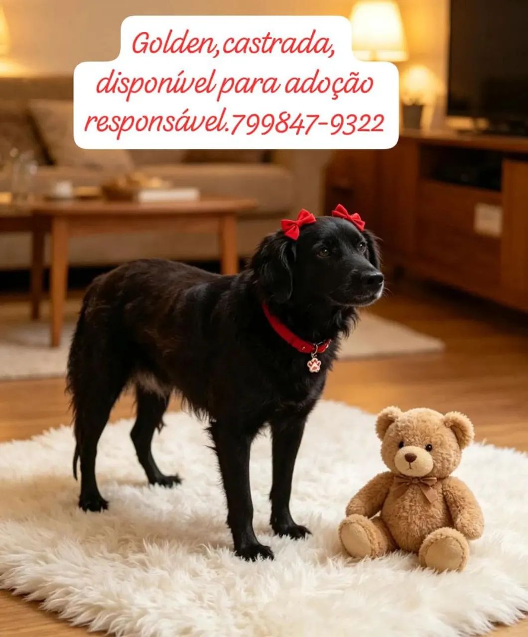 Lindas cachorras? - Foto 3