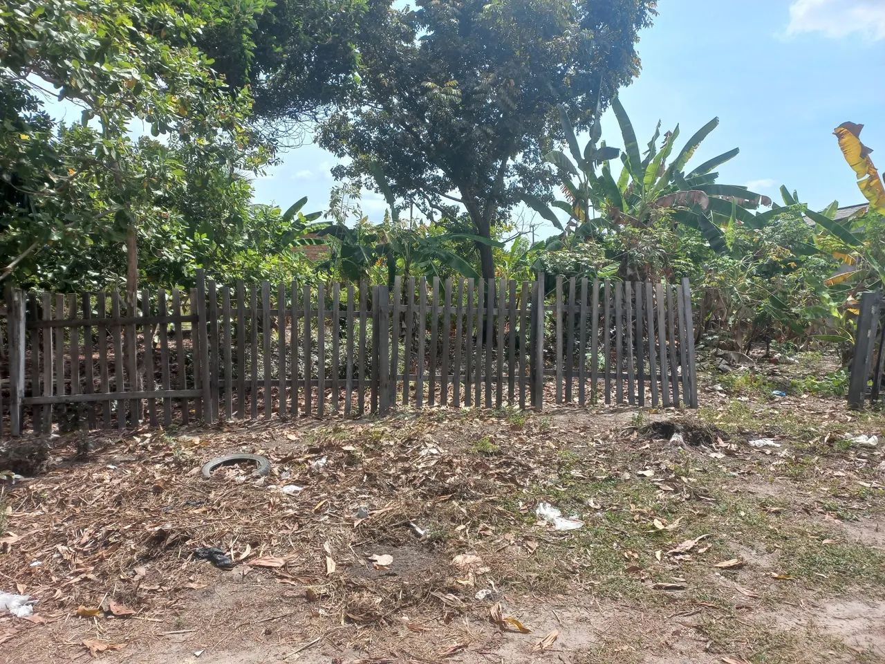 Foto - Boa Vista - Senador Hélio Campos