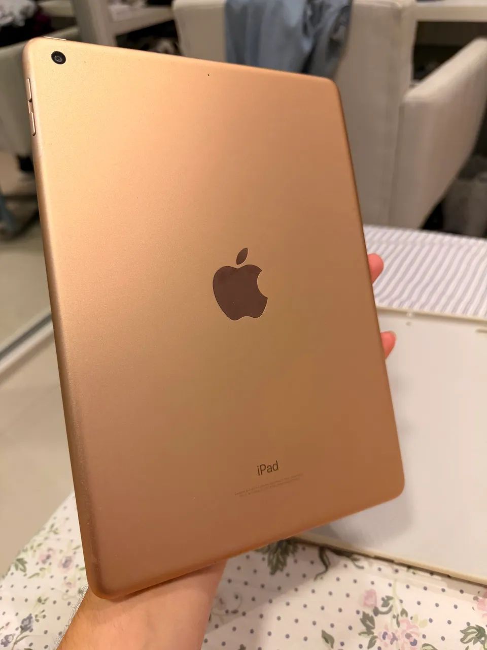 iPad + caneta Apple Pencil 