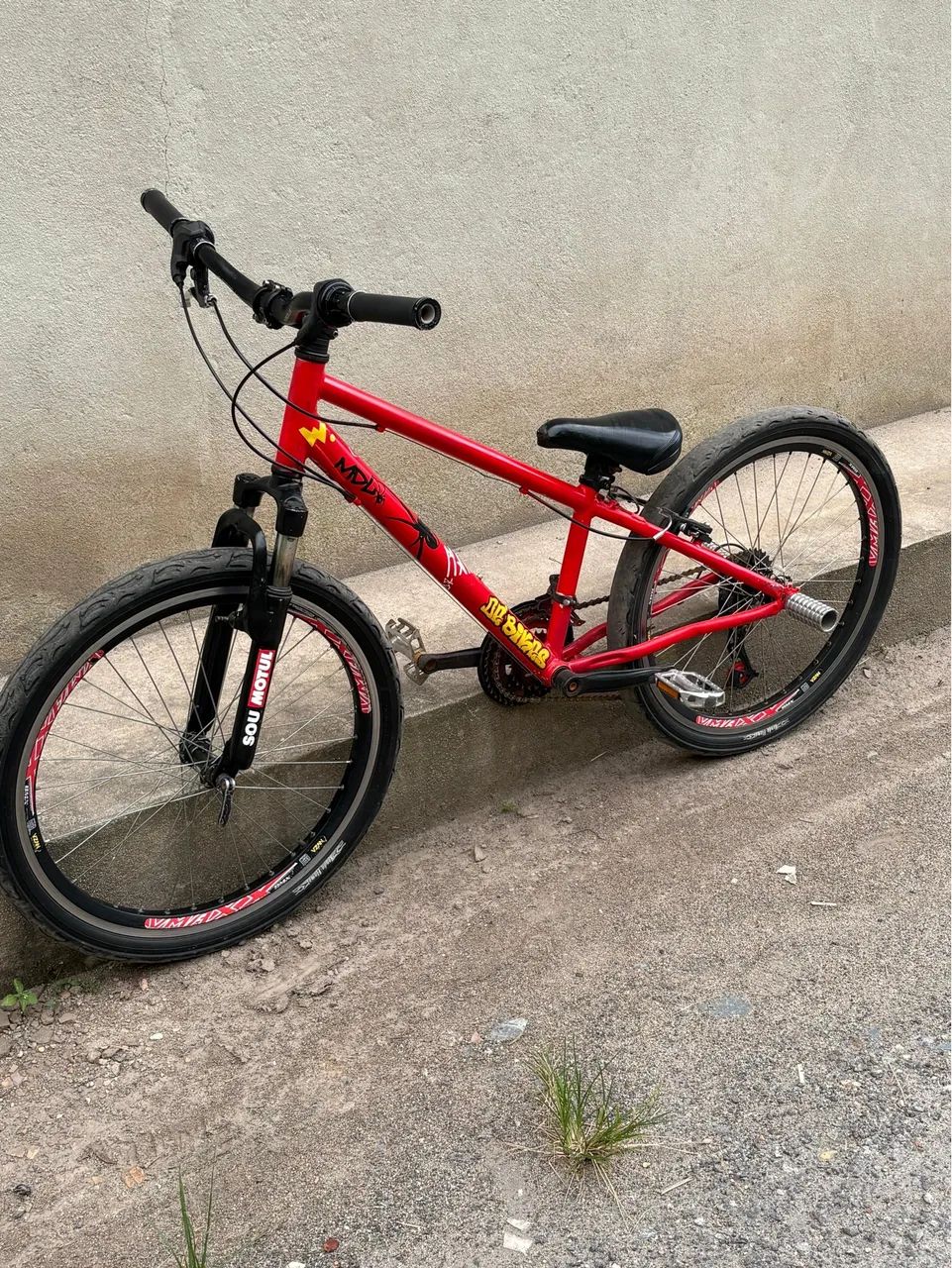 Bicicleta aro24