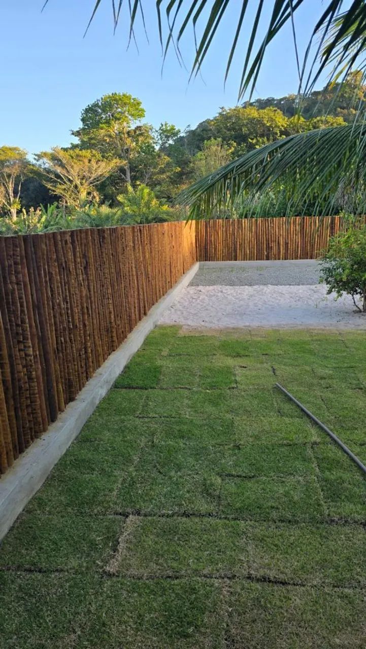 TREATED EUCALYPTUS 441140220905410565