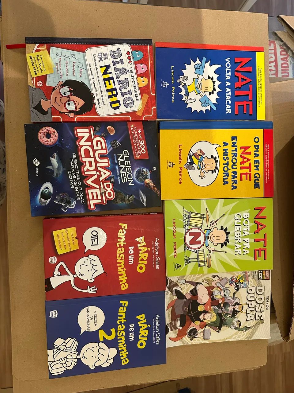 Diversos livros infanto-juvenil 