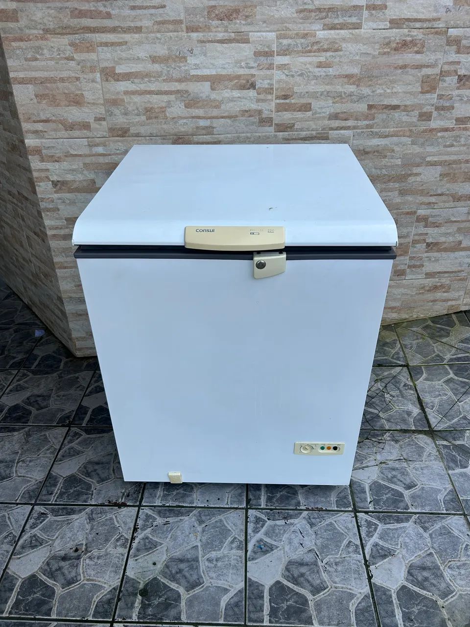 Freezer Horizontal Consul 